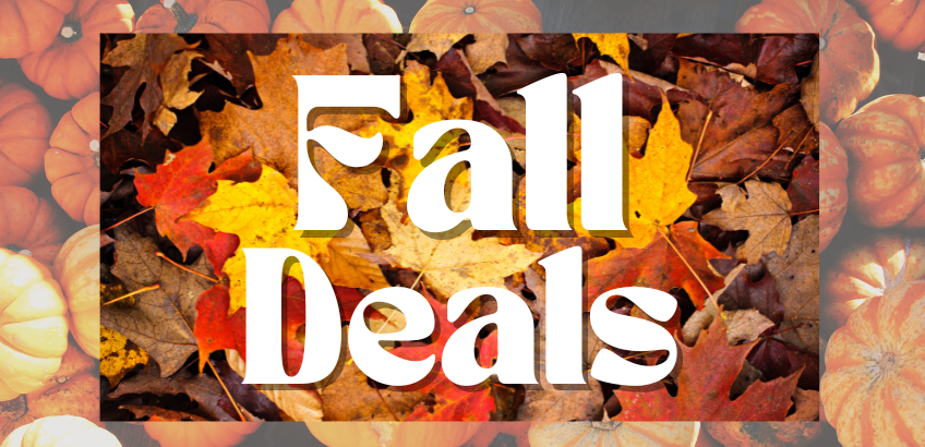 Fall Deals - The Essentials for a cozy September